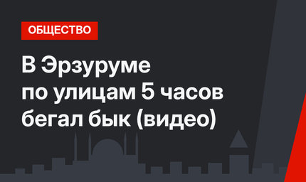 В Эрзуруме по улицам  5 часов бегал бык (видео)