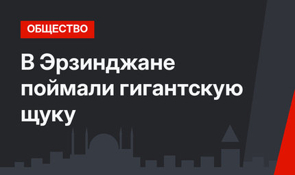 В Эрзинджане поймали гигантскую щуку
