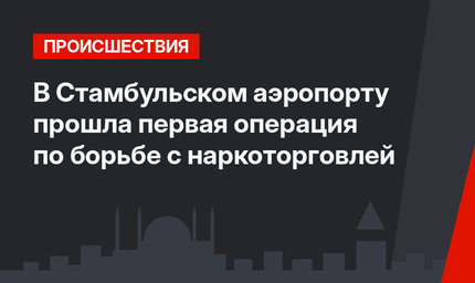 В Стамбульском аэропорту прошла первая операция по борьбе с наркоторговлей