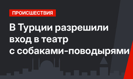 В Турции разрешили вход в театр с собаками-поводырями