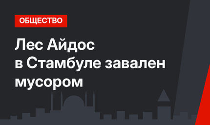 Лес Айдос в Стамбуле завален мусором