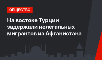 На востоке Турции задержали нелегальных мигрантов из Афганистана