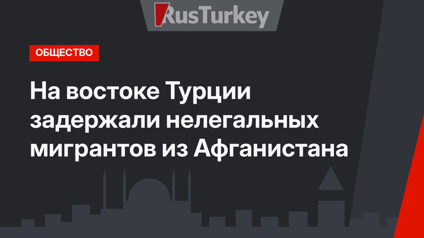 На востоке Турции задержали нелегальных мигрантов из Афганистана