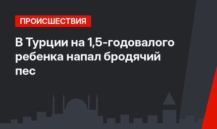 В Турции на 1,5-годовалого ребенка напал бродячий пес