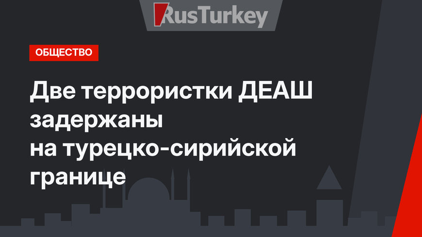 Две террористки ДЕАШ задержаны на турецко-сирийской границе