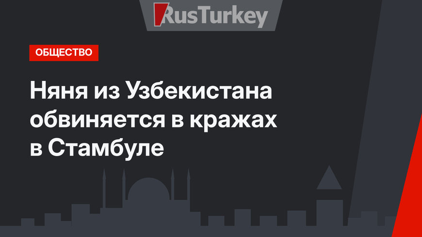 Няня из Узбекистана обвиняется в кражах в Стамбуле