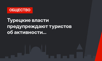 Турецкие власти предупреждают туристов об активности фальшивомонетчиков