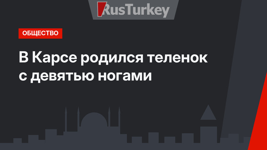 В Карсе родился теленок с девятью ногами
