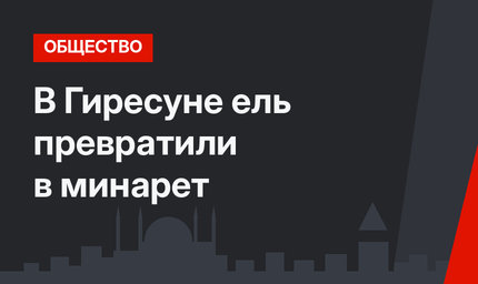 В Гиресуне ель превратили в минарет