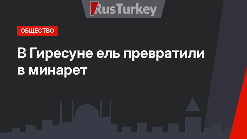 В Гиресуне ель превратили в минарет