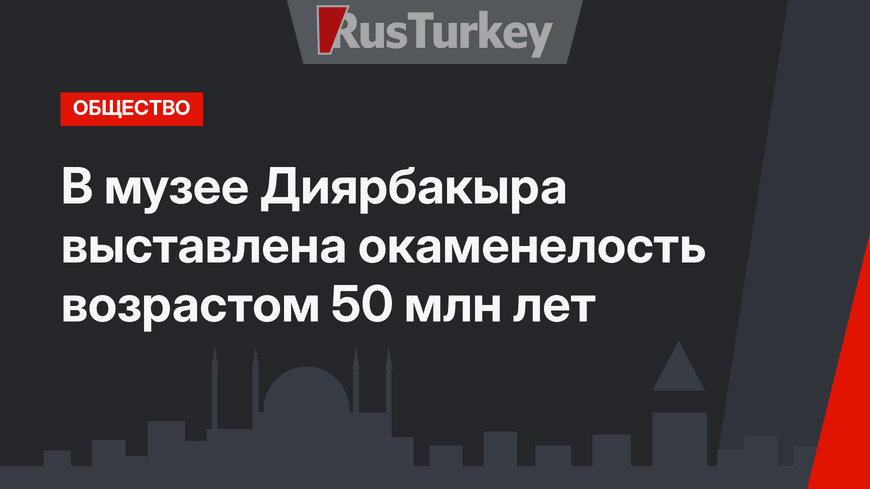 В музее Диярбакыра выставлена окаменелость возрастом 50 млн лет