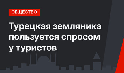 Турецкая земляника пользуется спросом у туристов