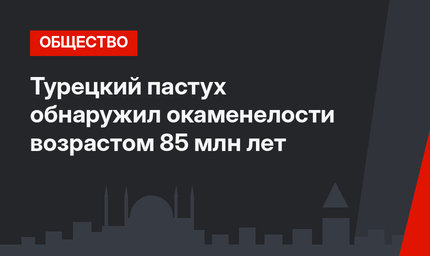 Турецкий пастух обнаружил окаменелости возрастом 85 млн лет