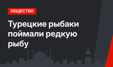 Турецкие рыбаки поймали редкую рыбу