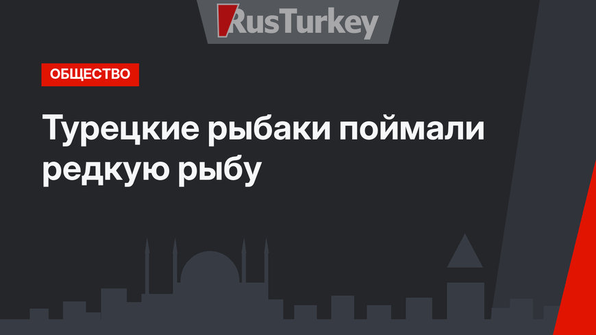 Турецкие рыбаки поймали редкую рыбу