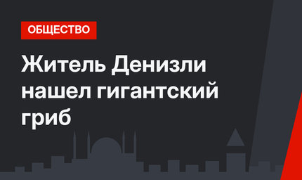 Житель Денизли нашел гигантский гриб