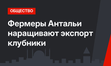 Фермеры Антальи наращивают экспорт клубники
