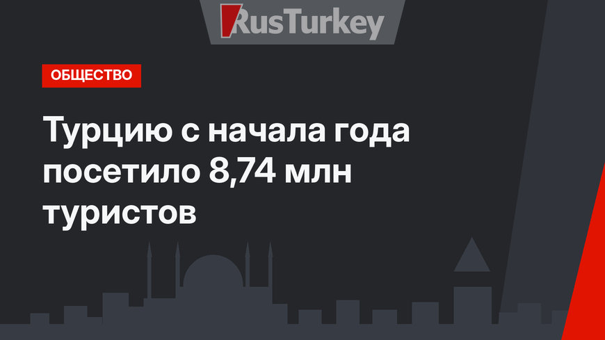 Турцию с начала года посетило 8,74 млн туристов