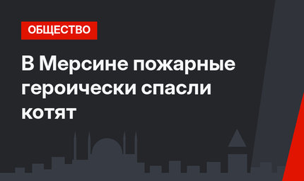 В Мерсине пожарные героически спасли котят