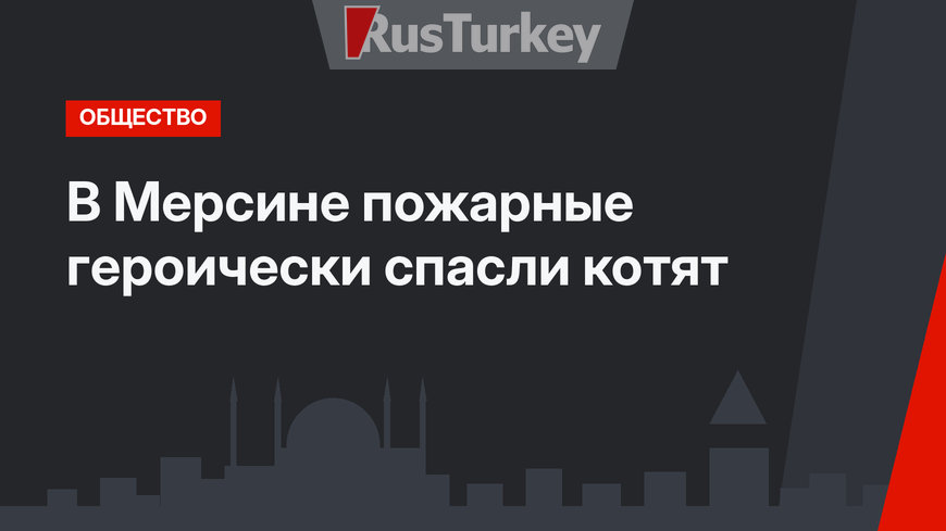 В Мерсине пожарные героически спасли котят