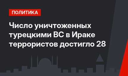 Число уничтоженных турецкими ВС в Ираке террористов достигло 28