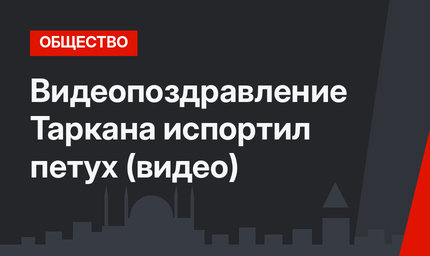Видеопоздравление Таркана испортил петух (видео)