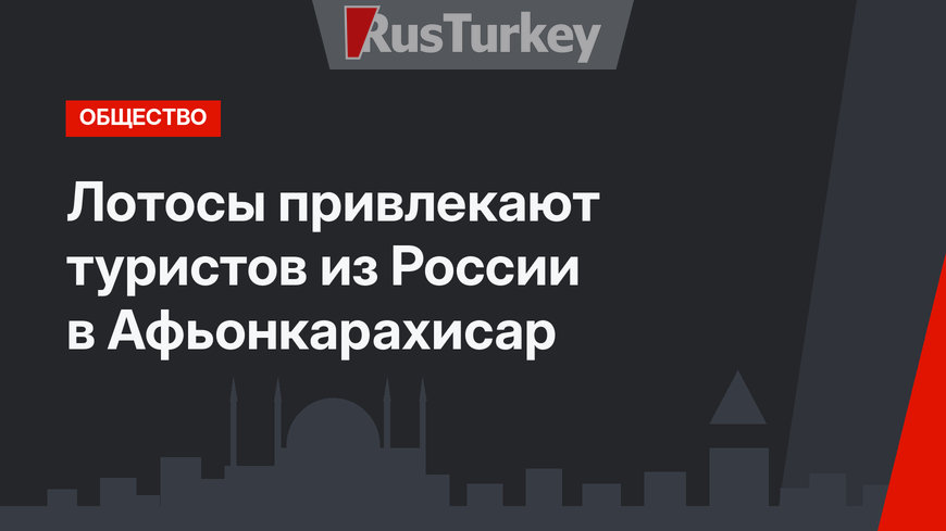 Лотосы привлекают туристов из России в Афьонкарахисар