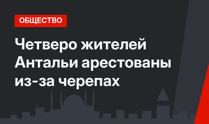 Четверо жителей Антальи арестованы из-за черепах