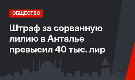 Штраф за сорванную лилию в Анталье превысил 40 тыс. лир