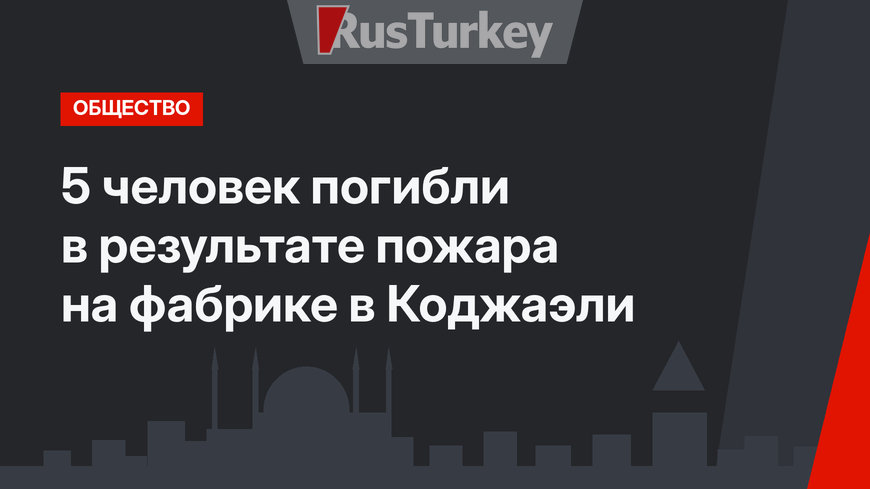 5 человек погибли в результате пожара на фабрике в Коджаэли