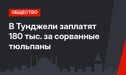 В Тунджели заплатят 180 тыс. за сорванные тюльпаны
