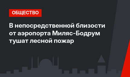 В непосредственной близости от аэропорта Миляс-Бодрум тушат лесной пожар