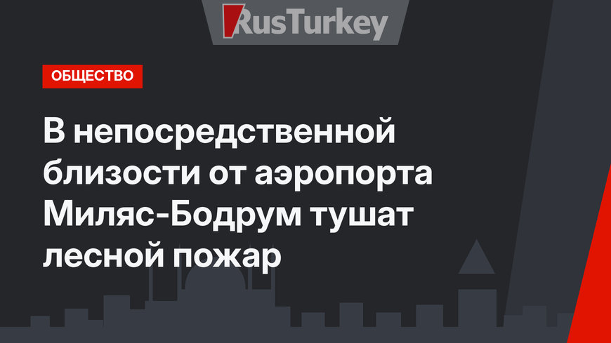 В непосредственной близости от аэропорта Миляс-Бодрум тушат лесной пожар