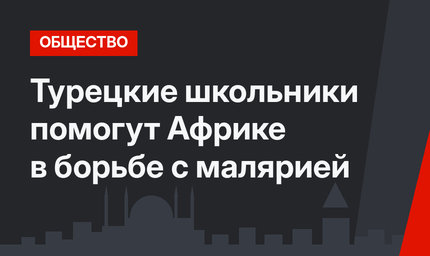 Турецкие школьники помогут Африке в борьбе с малярией