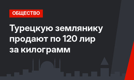 Турецкую землянику продают по 120 лир за килограмм