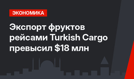Экспорт фруктов рейсами Turkish Cargo превысил $18 млн