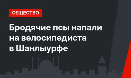 Бродячие псы напали на велосипедиста в Шанлыурфе
