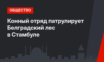  Конный отряд патрулирует Белградский лес в Стамбуле