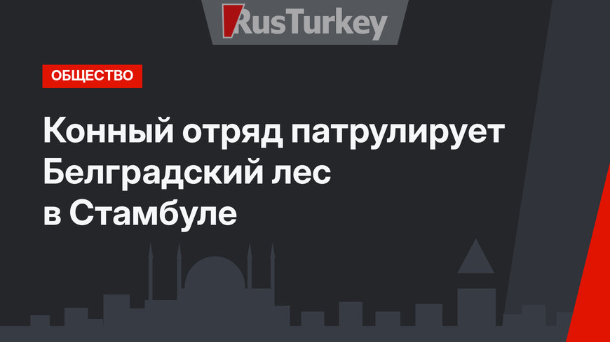  Конный отряд патрулирует Белградский лес в Стамбуле