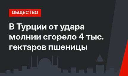 В Турции от удара молнии сгорело 4 тыс. гектаров пшеницы