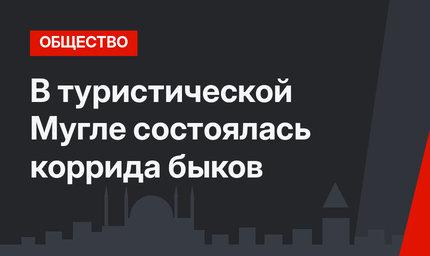 В туристической Мугле состоялась коррида быков