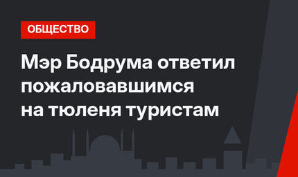 Мэр Бодрума ответил пожаловавшимся на тюленя туристам