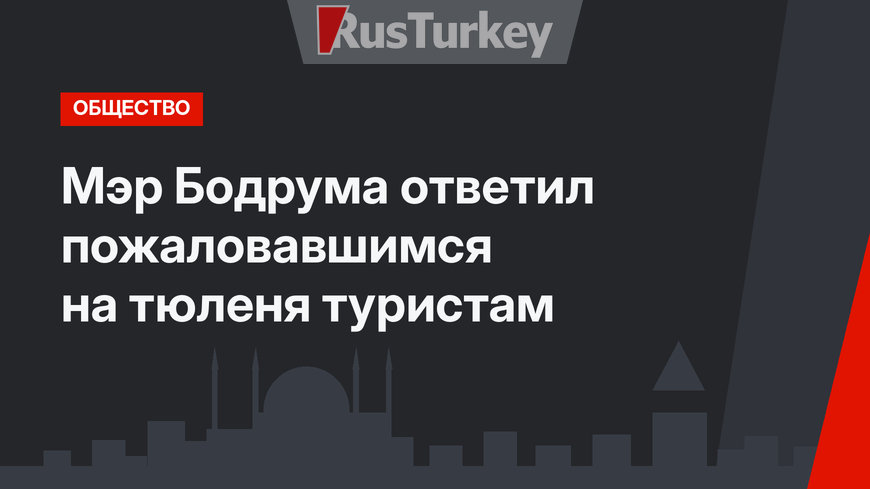 Мэр Бодрума ответил пожаловавшимся на тюленя туристам