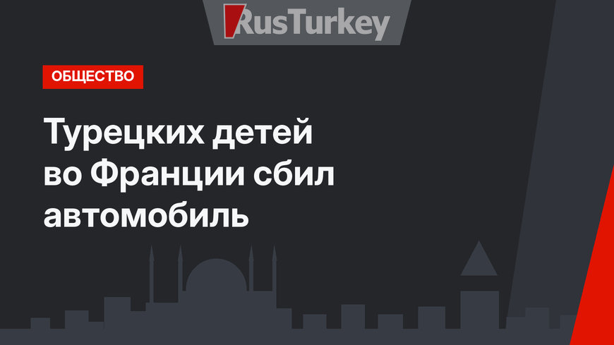 Турецких детей во Франции сбил автомобиль