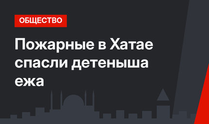 Пожарные в Хатае спасли детеныша ежа