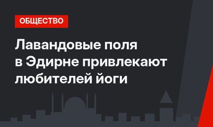 Лавандовые поля в Эдирне привлекают любителей йоги