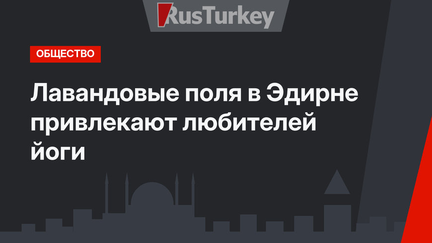 Лавандовые поля в Эдирне привлекают любителей йоги