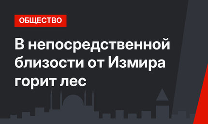 В непосредственной близости от Измира горит лес