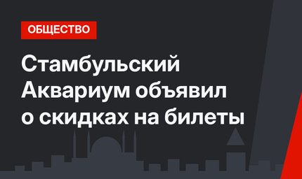 Стамбульский Аквариум объявил о скидках на билеты