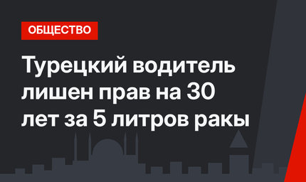Турецкий водитель лишен прав на 30 лет за 5 литров ракы